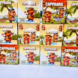 SKU-19 CAPYBARA SÜRPRİZ KUTULU PAKETİ 32’Lİ