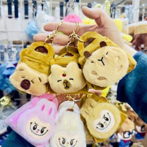 C-66 CAPYBARA LABUBU PELUŞ CÜZDAN ANAHTARLIK PAKETİ 12'Lİ