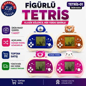 TETRİS-01 FİGÜRLÜ TETRİS OYUNCAK KARIŞIK GÖNDERİLİR